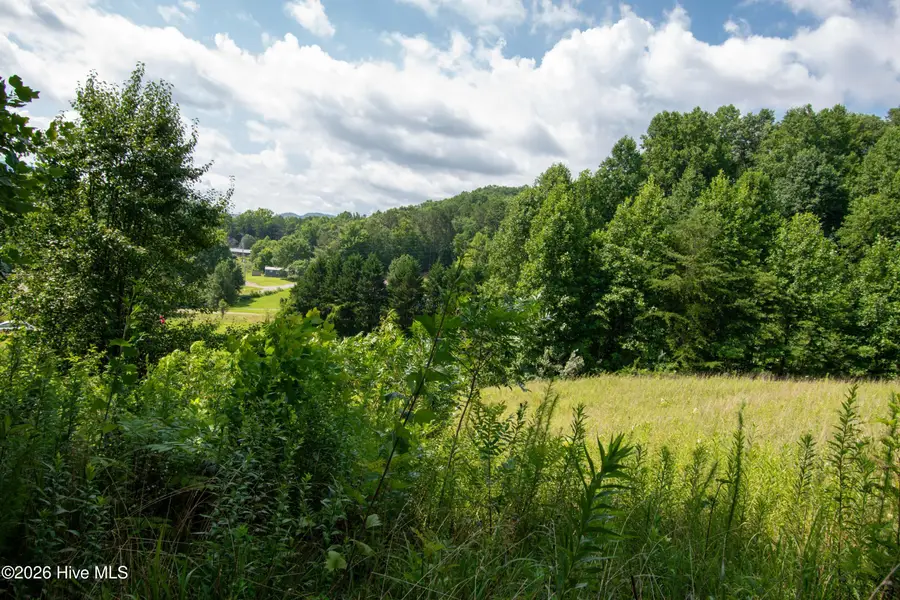 117 Henry Moss Lane, Marble, NC 28905 - #2