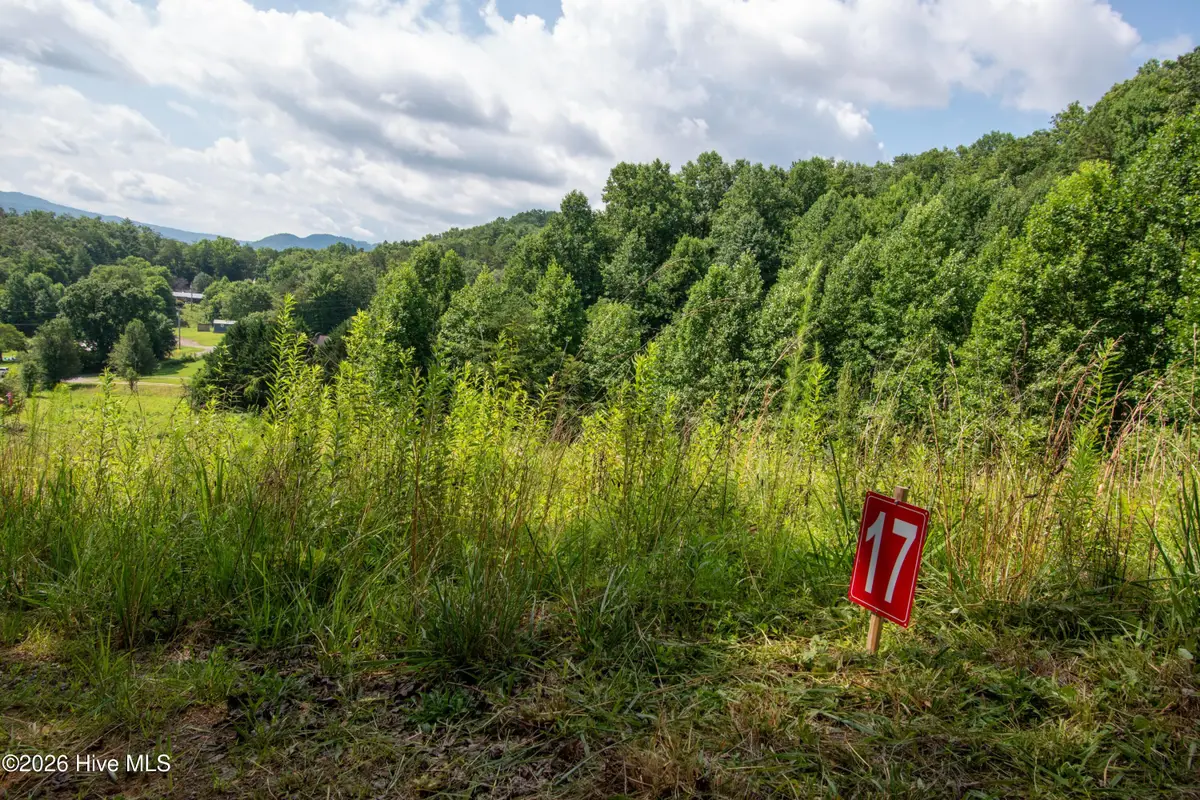 133 Henry Moss Lane, Marble, NC 28905 - #1