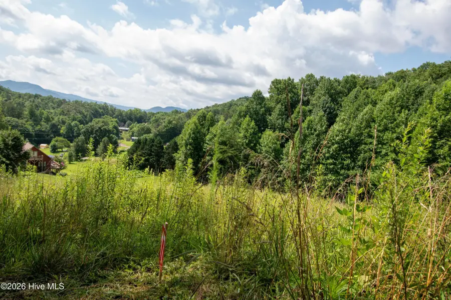 133 Henry Moss Lane, Marble, NC 28905 - #3