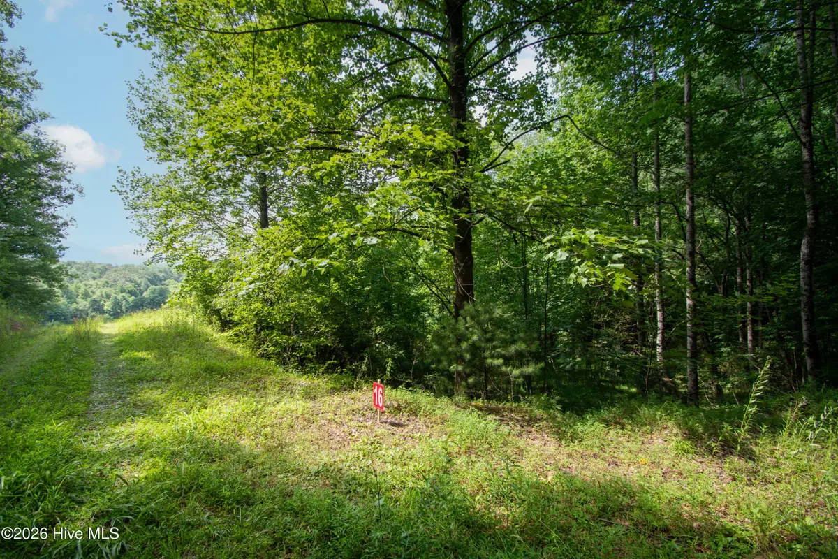 189 Henry Moss Lane, Marble, NC 28905 - #1