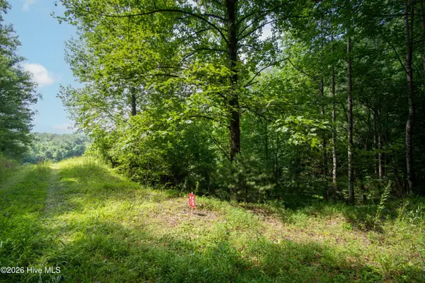 189 Henry Moss Lane, Marble, NC 28905
