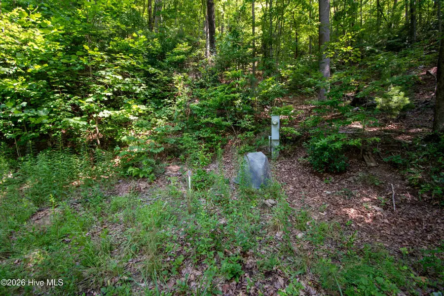189 Henry Moss Lane, Marble, NC 28905 - #2