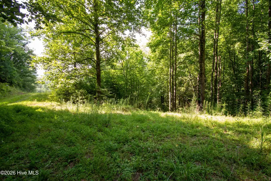 189 Henry Moss Lane, Marble, NC 28905 - #3