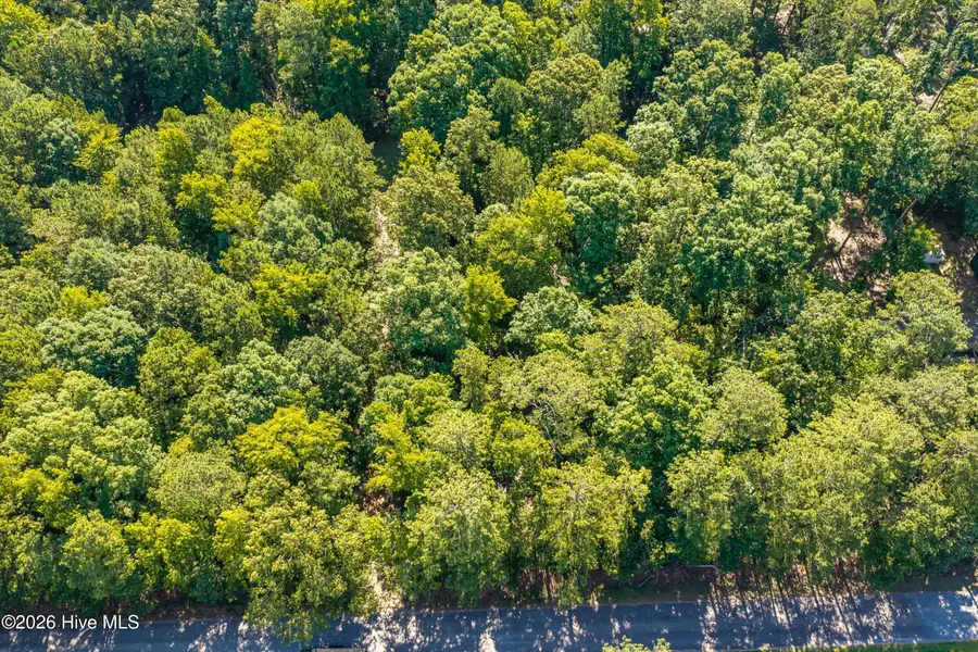 Lot 1 Comanche Circle, Lincolnton, GA 30817 - #3