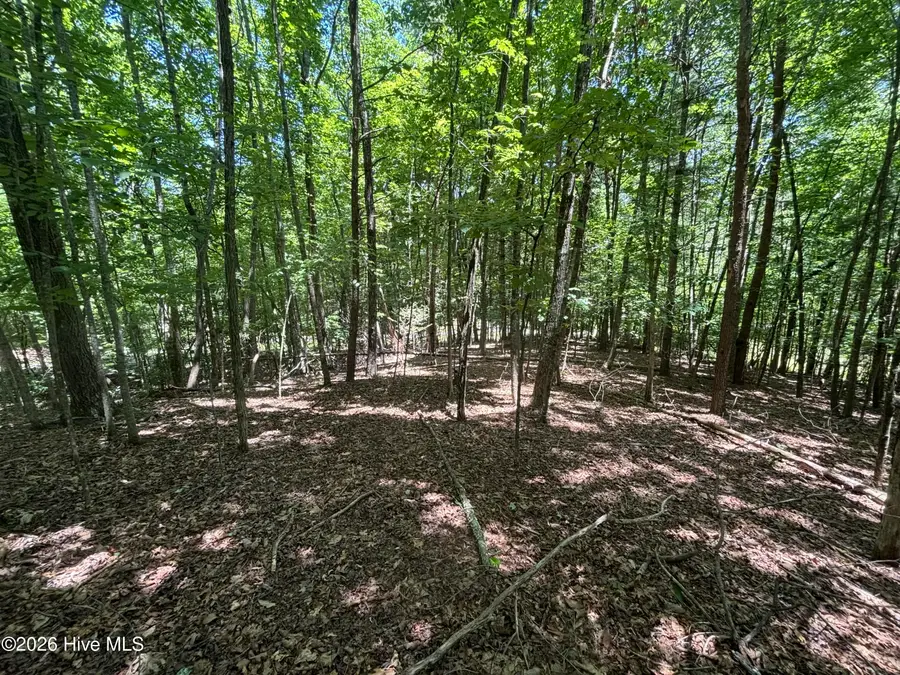 51 Pine Cove Lane, Murphy, NC 28906 - #3