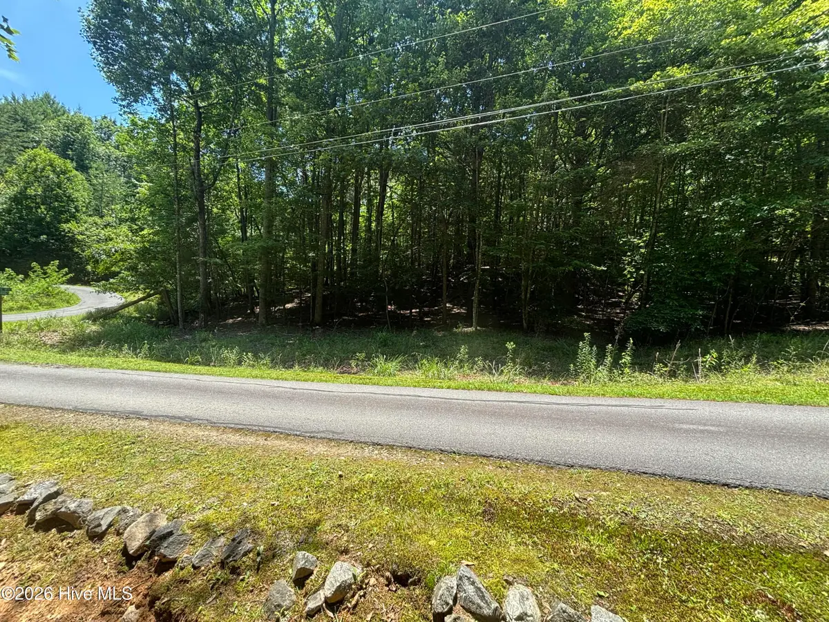 52a Pine Cove Lane, Murphy, NC 28906 - #1