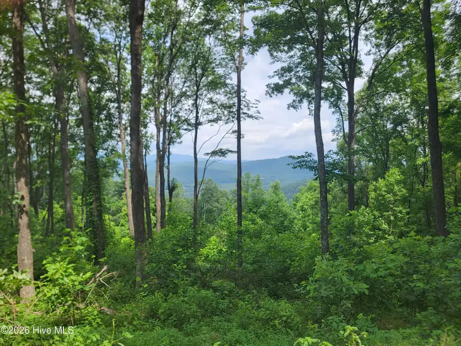 Lot 81 Scenic Mountain Way, Murphy, NC 28906 - #2