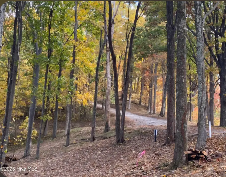 Lot 81 Scenic Mountain Way, Murphy, NC 28906 - #3