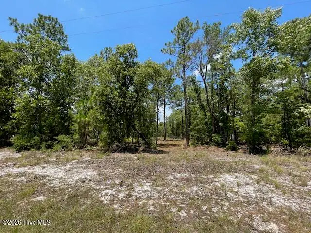 0 Bear Branch Drive, Currie, NC 28435 - #1