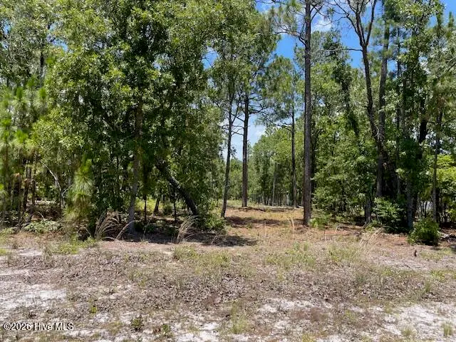0 Bear Branch Drive, Currie, NC 28435 - #2