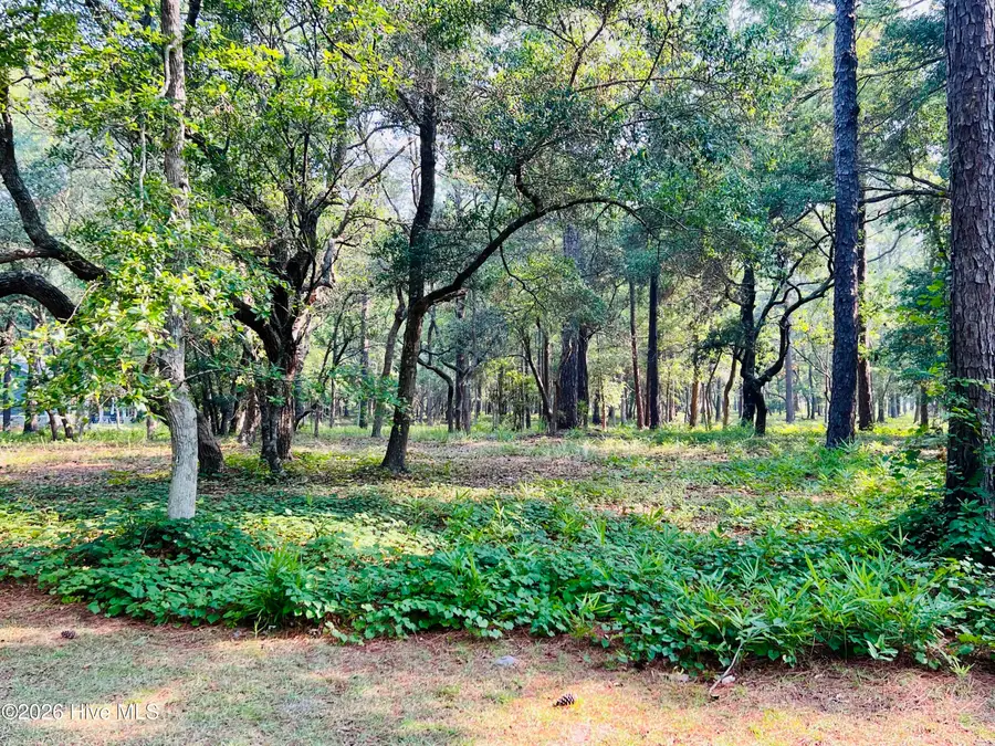 834 Blue Gill Court Se, Bolivia, NC 28422 - #3