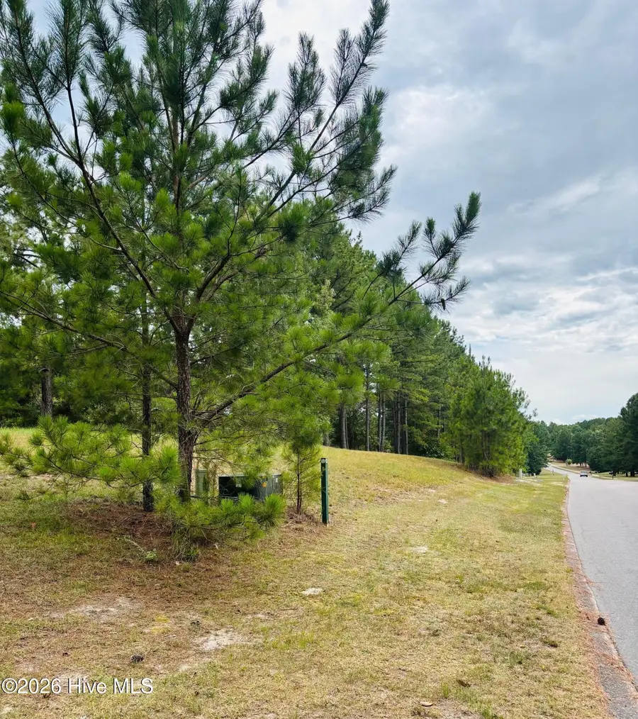 740 Broken Ridge Trail, West End, NC 27376 - #2