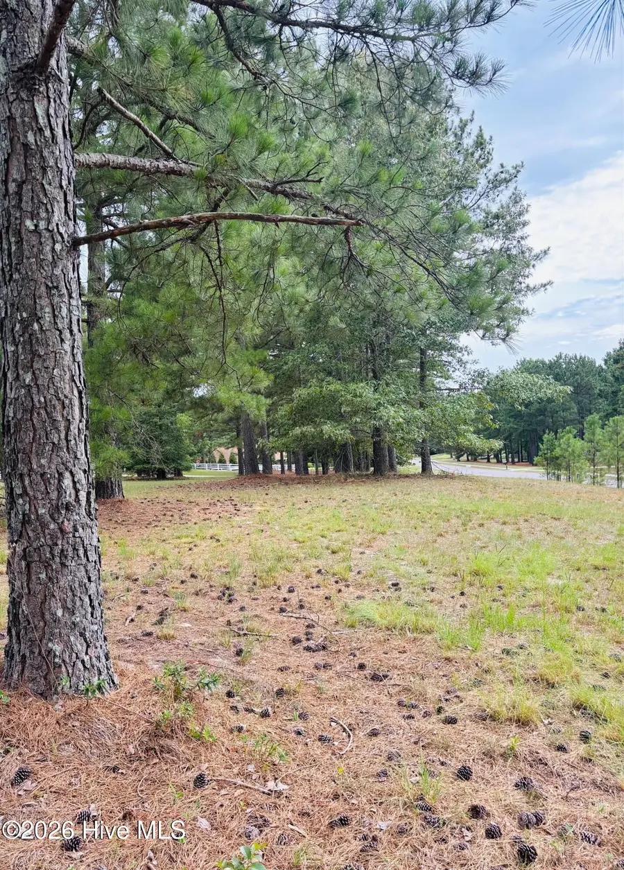 740 Broken Ridge Trail, West End, NC 27376 - #3
