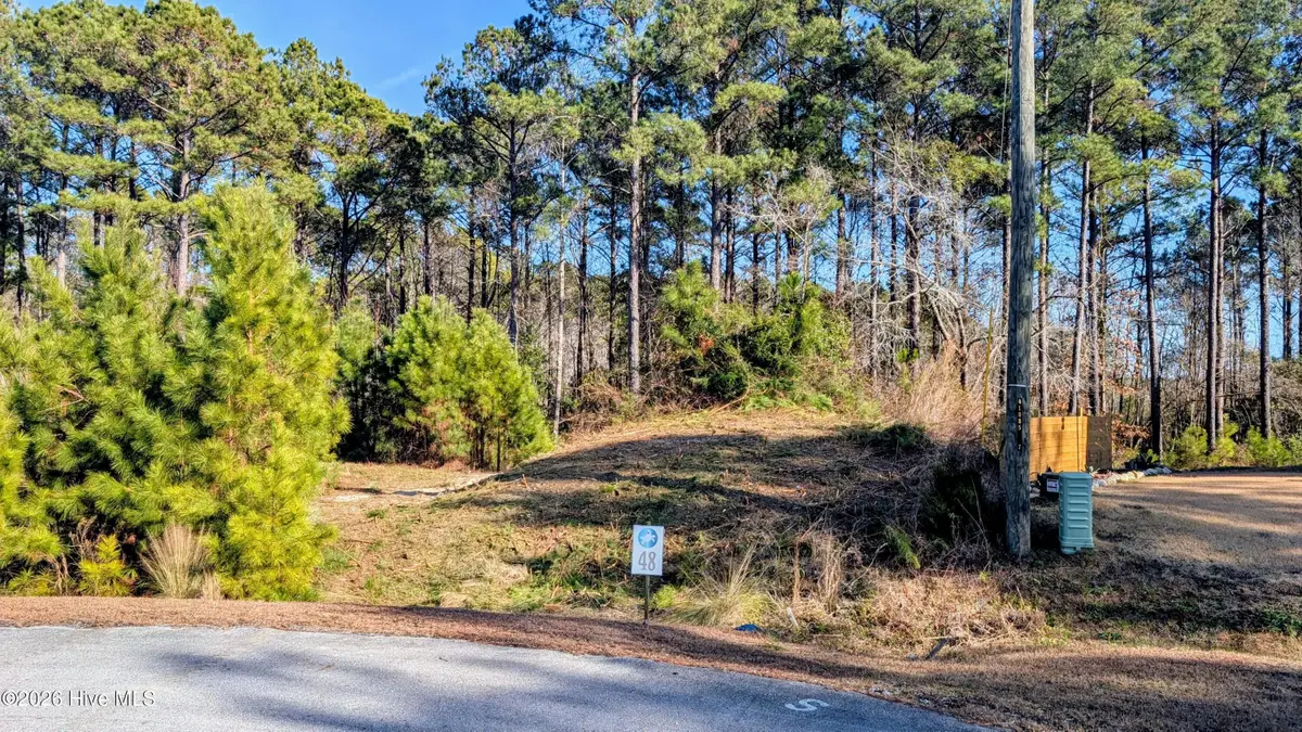 314 Livingston Court, Holly Ridge, NC 28445 - #1