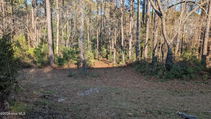 314 Livingston Court, Holly Ridge, NC 28445 - #2