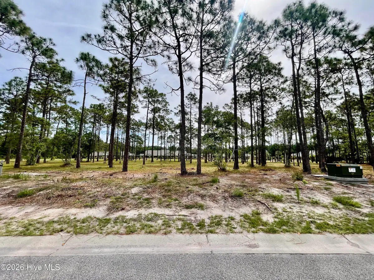 6808 Beckman Circle Sw, Ocean Isle Beach, NC 28469 - #1