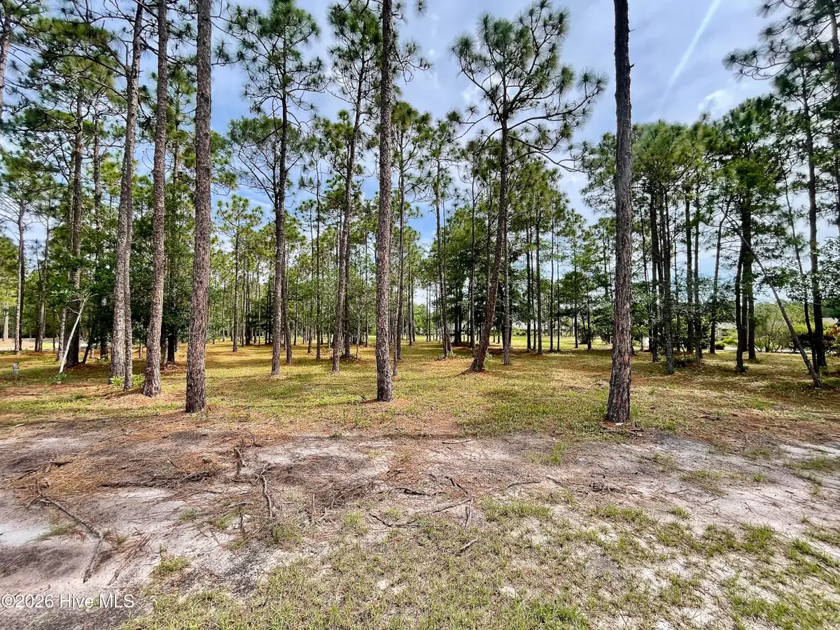 6804 Beckman Circle Sw, Ocean Isle Beach, NC 28469 - #1