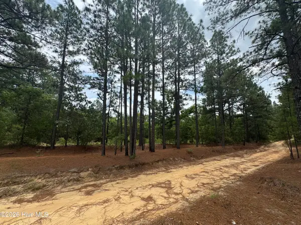 000 Lizzie Jeter Lane, Cameron, NC 28326