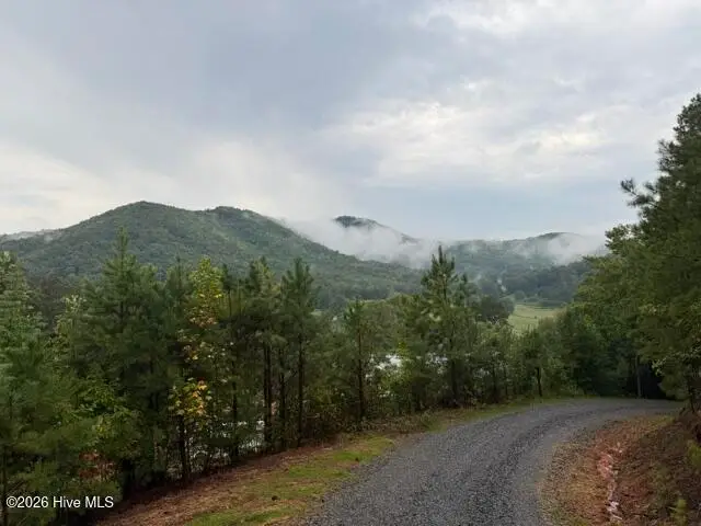 8,9 Downings Creek Road, Hayesville, NC 28904 - #2