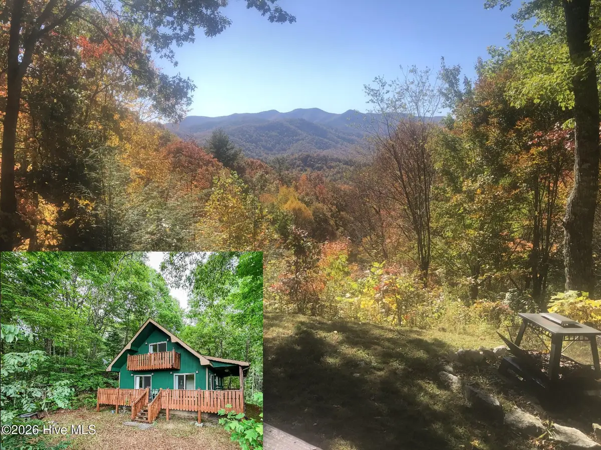 259 Laurel Lane, Topton, NC 28781 - #1