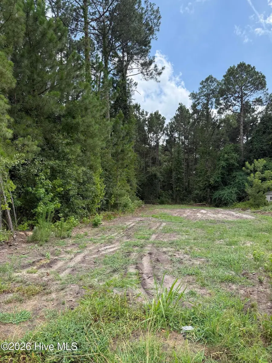 0 Grays Lane, Elizabethtown, NC 28337 - #2