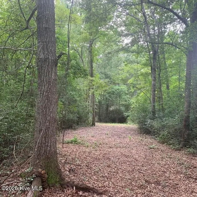 45.22 Ac Atlantic Breeze Drive, North Myrtle Beach, SC 29582 - #2