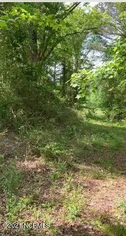 Tbd W Hamlet Avenue, Hamlet, NC 28345 - #1