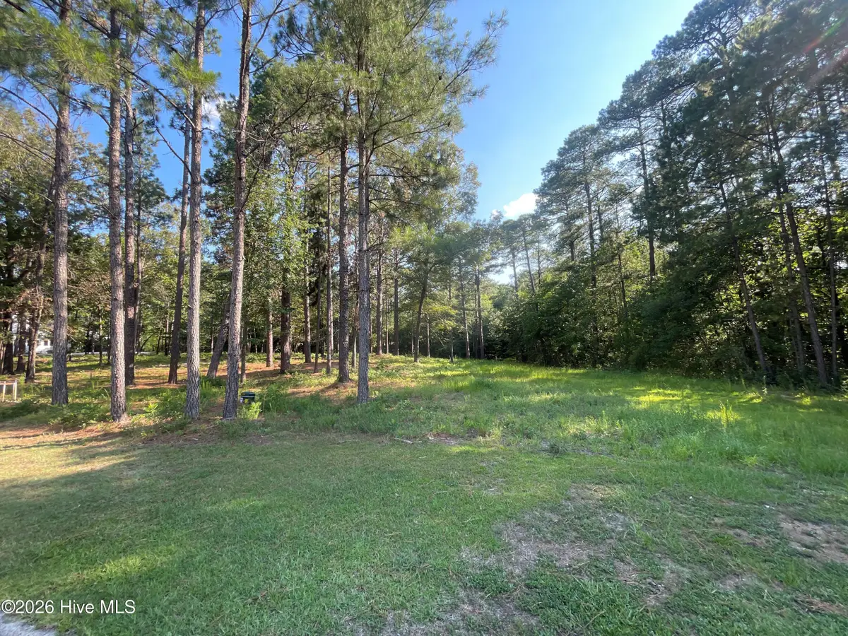 231 Meyer Farm Drive, Pinehurst, NC 28374 - #1