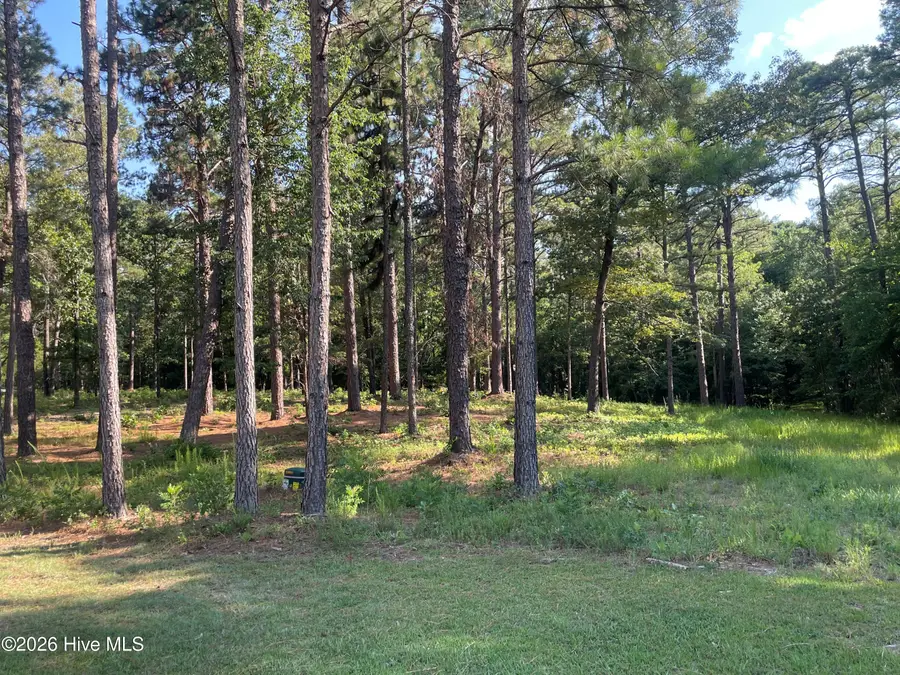 231 Meyer Farm Drive, Pinehurst, NC 28374 - #3