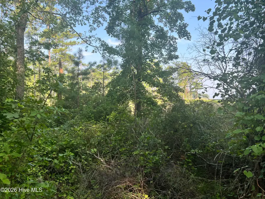 Lot 2 & 3 Strawhorn Creek Road, Aurora, NC 27806 - #3