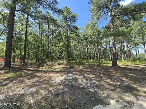 Tbd Peach Orchard Road, Wagram, NC 28396