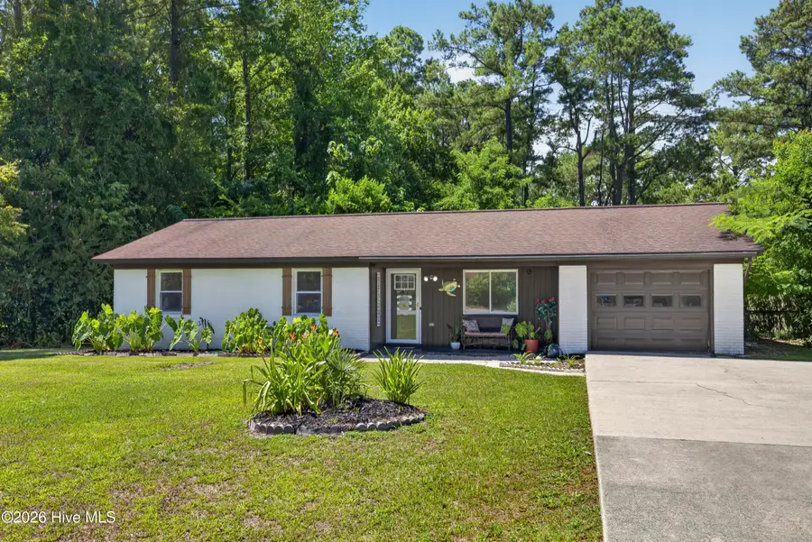 304 Millhouse Road, Castle Hayne, NC 28429 - #3