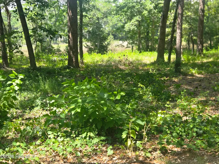 3183 Mullet Creek Place Se, Bolivia, NC 28422 - #3