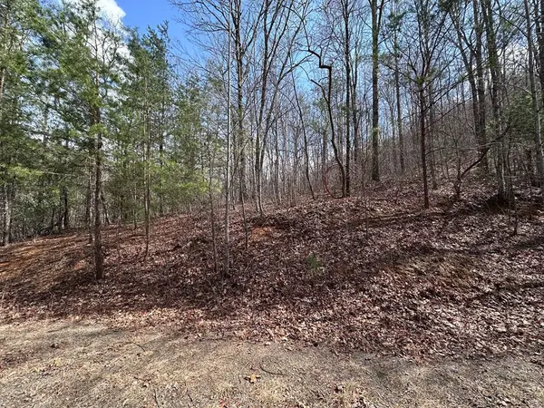 Tbd Pack Mountain Road, Murphy, NC 28906