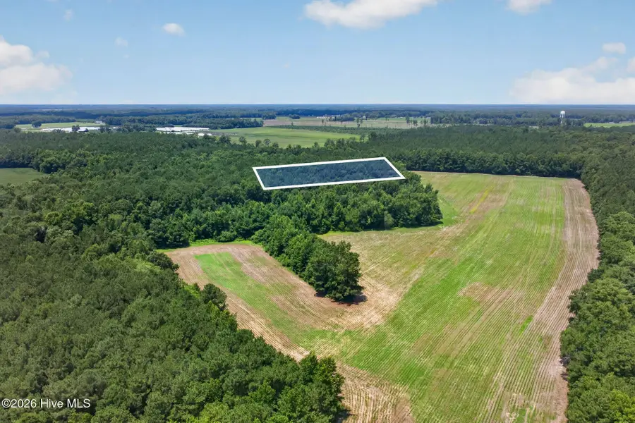 1 Acre Off Laura Hill Drive, Clarkton, NC 28433 - #2