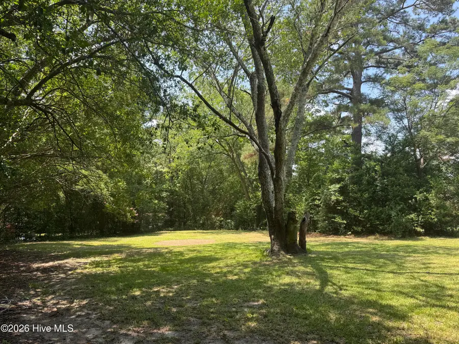 1114 Oak Avenue, Rockingham, NC 28379 - #3