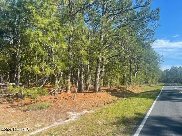 1035 Flowers Road, Jackson Springs, NC 27281 - #3