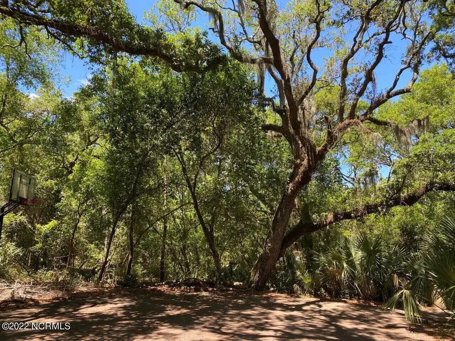 9 Partridge Berry Court, Bald Head Island, NC 28461 - #2