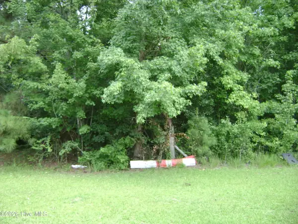 8.3 Glory Light Road, Fairmont, NC 28340