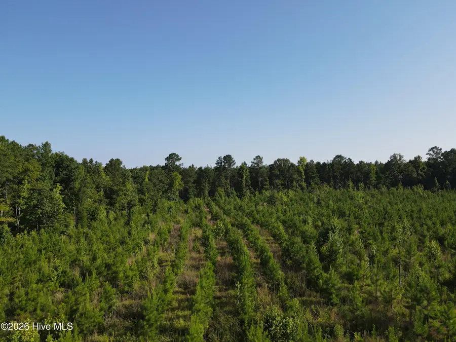 1 Youngblood Road, Sparta, GA 31087 - #3