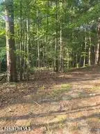 15 B1 Southwind Drive, McCormick, SC 29835 - #1