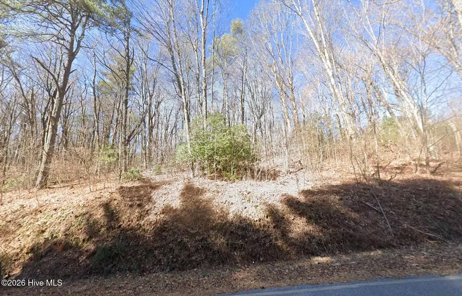 20 Tall Pines Road, Valley Hill, NC 23851 - #2