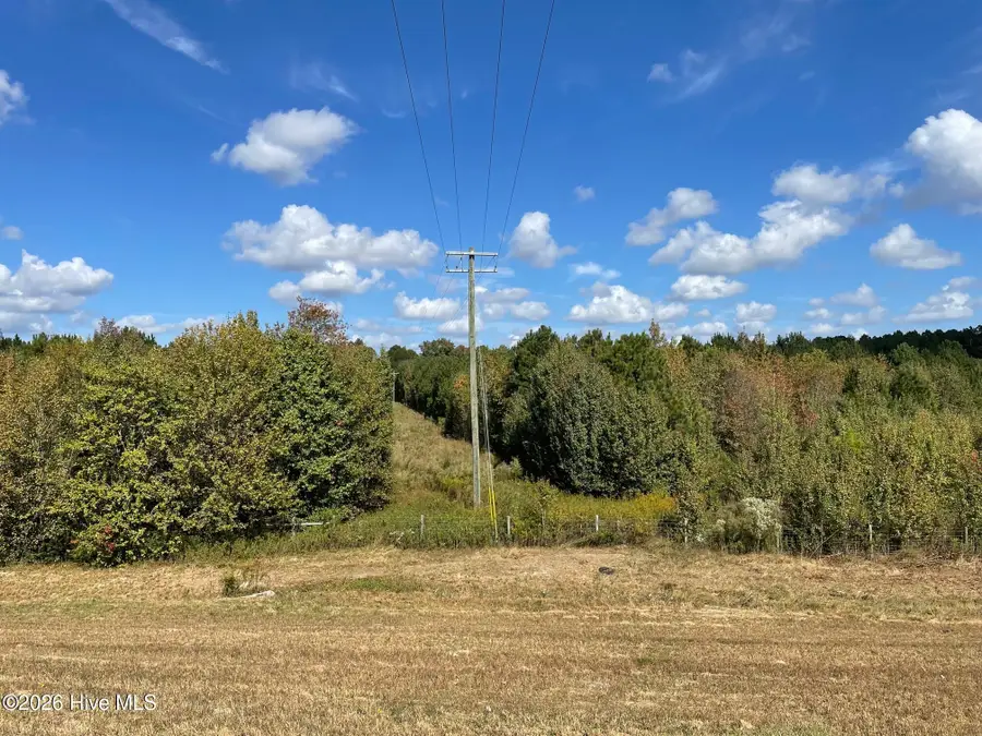 1c Dunn Road Ext, Roseboro, NC 28382 - #3
