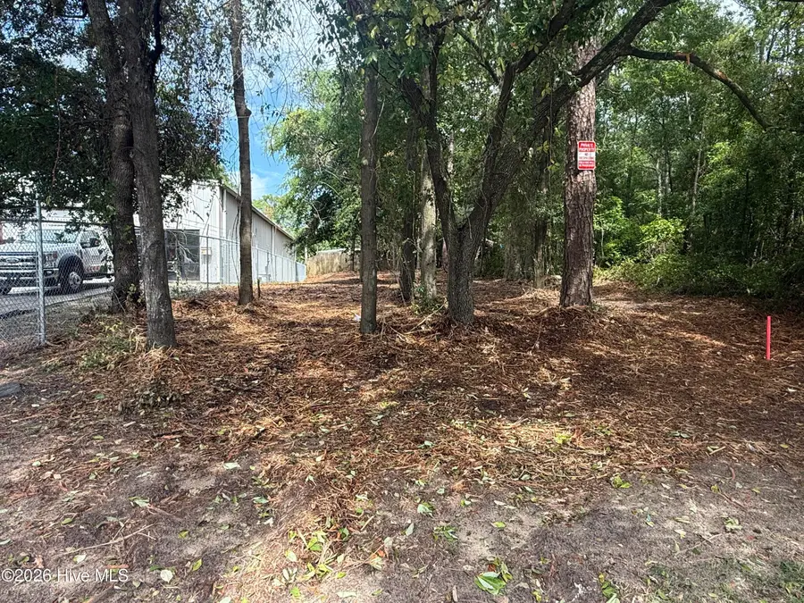 1217 S 15th Street, Wilmington, NC 28401 - #2