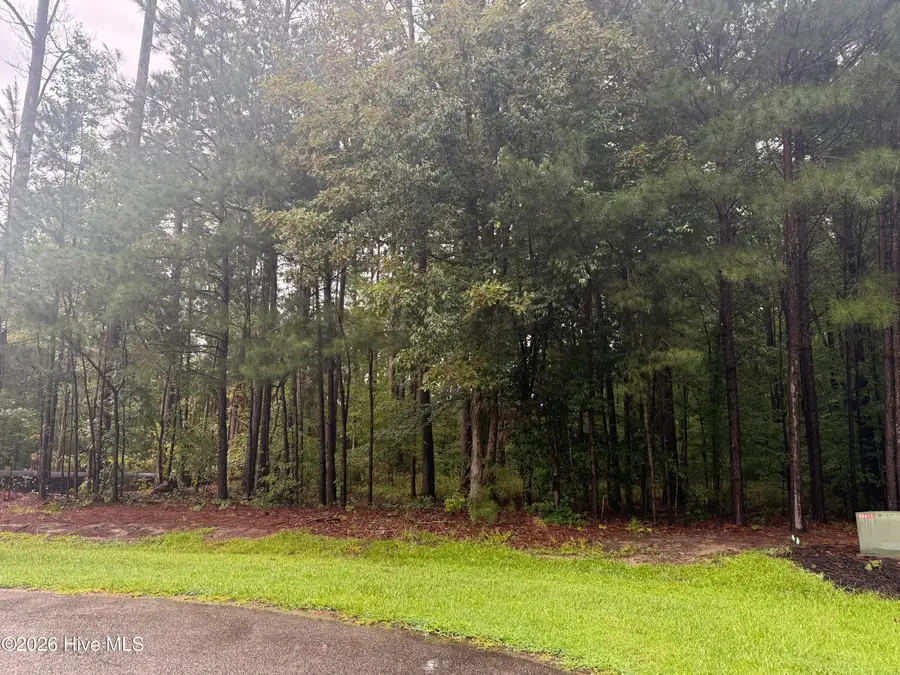 31 Bennetts Creek Drive Drive, Hertford, NC 27944 - #3