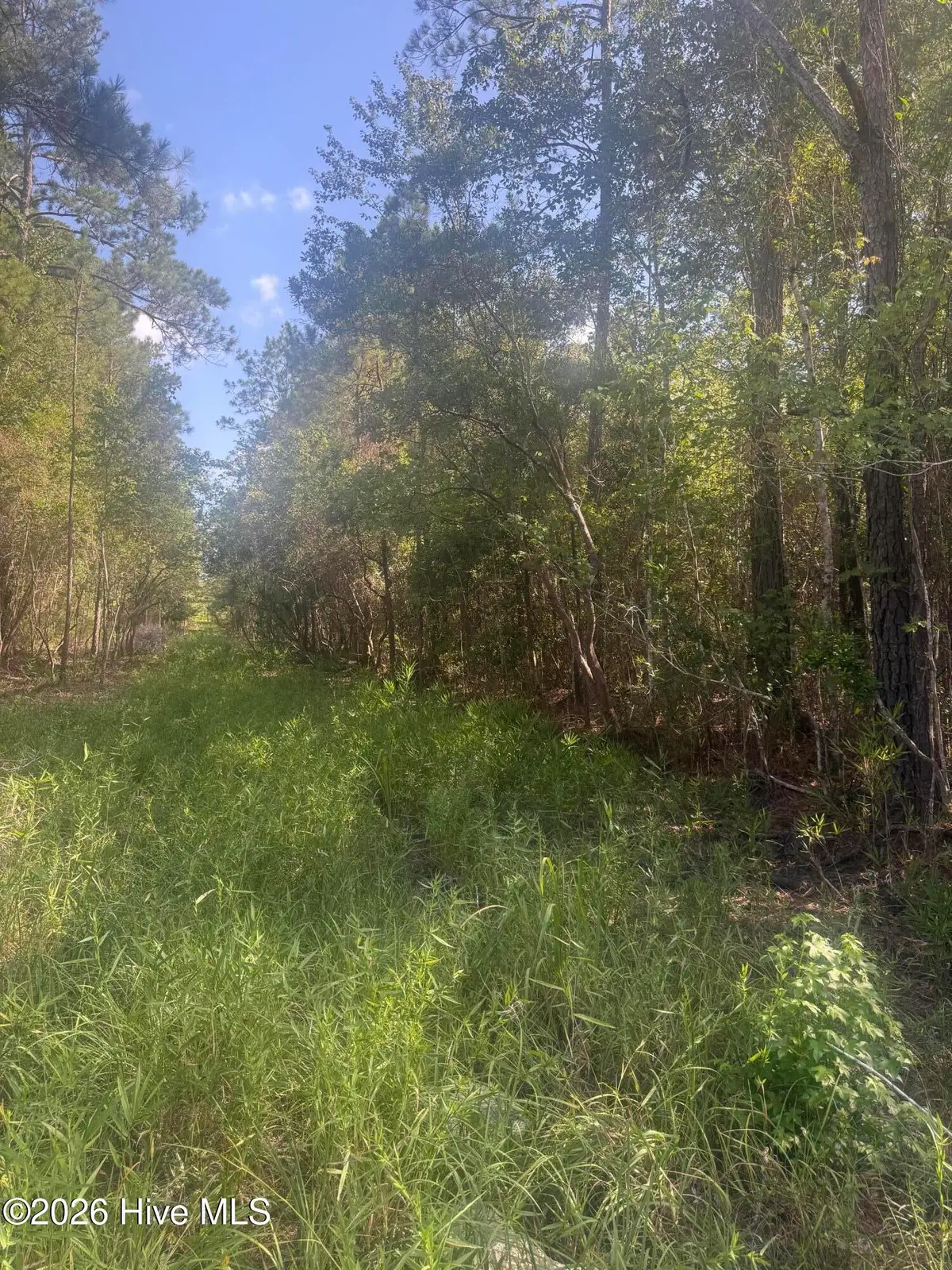 Tbd S Goldfinch Place Se, Southport, NC 28461 - #1