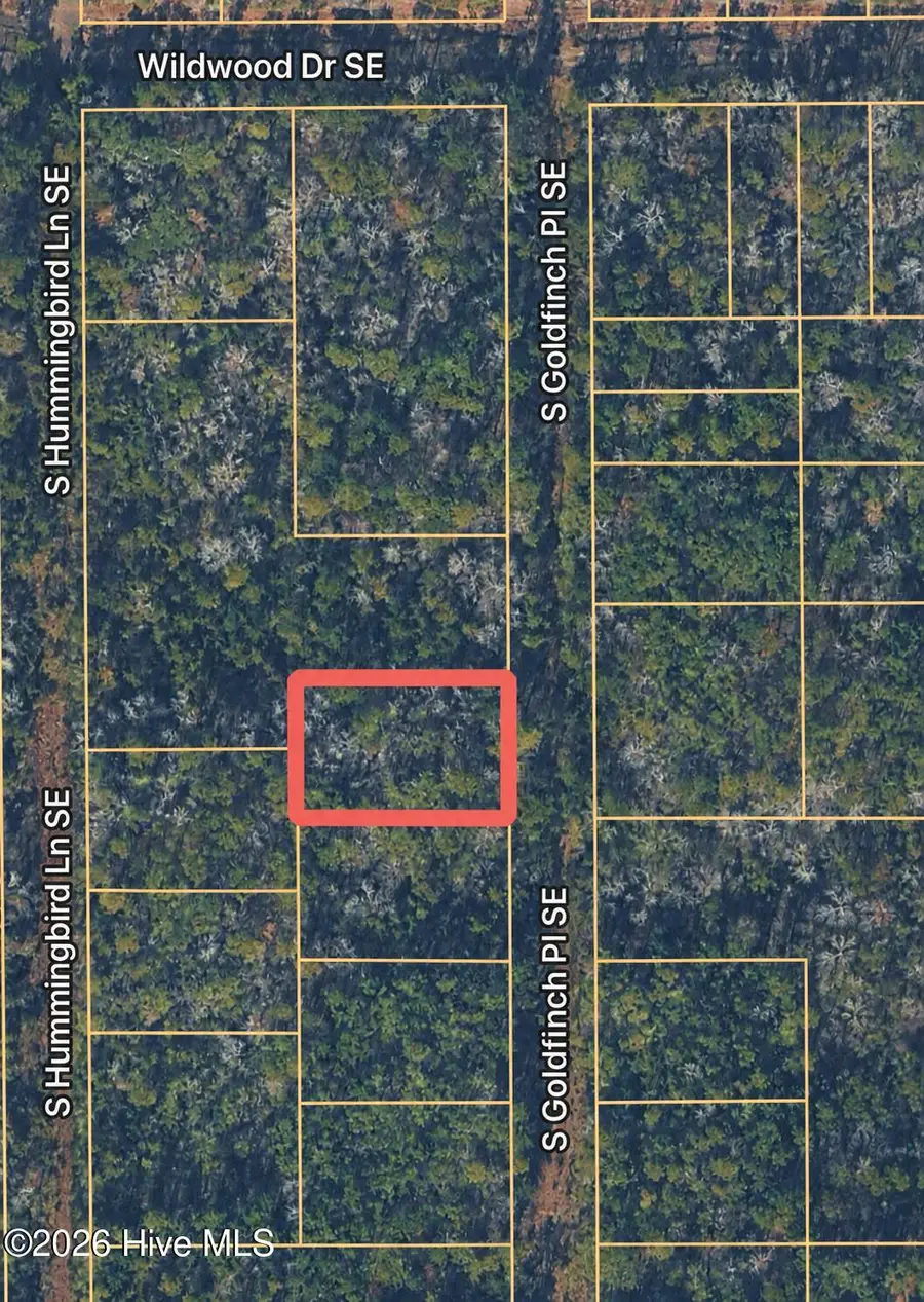 Tbd S Goldfinch Place Se, Southport, NC 28461 - #3