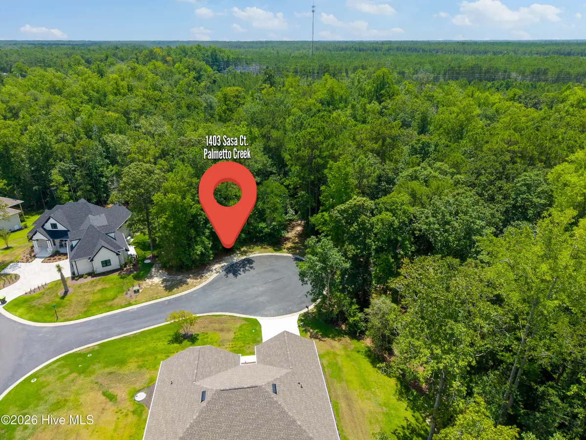 1403 Sasa Court Se, Bolivia, NC 28422 - #1