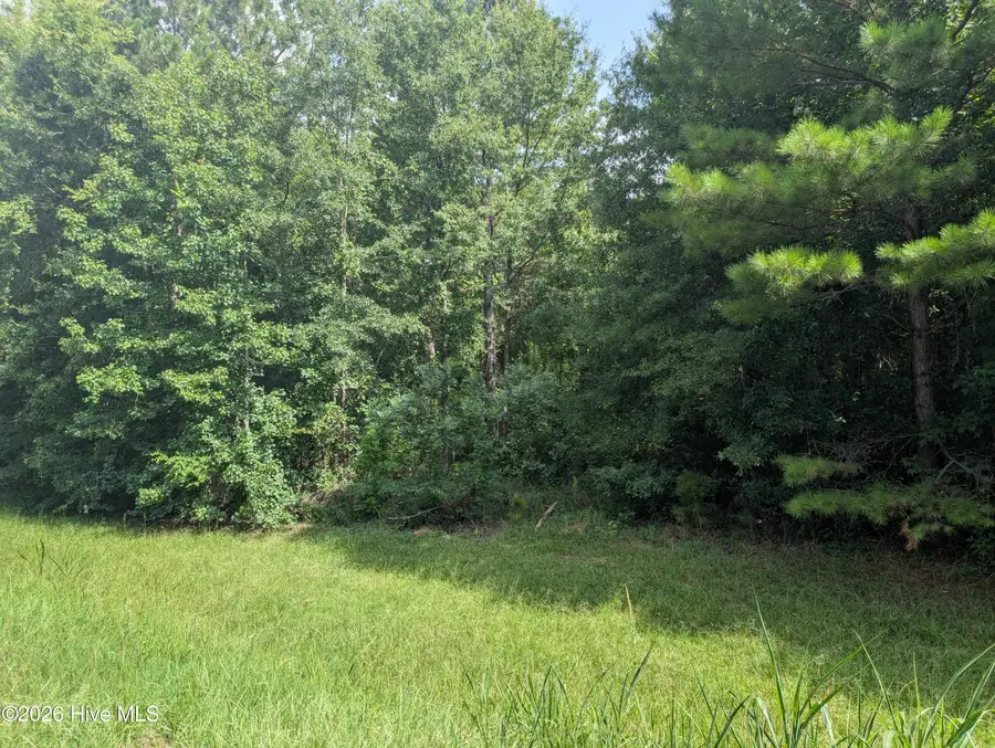 1406 Dunwoody Place, Appling, GA 30802 - #3