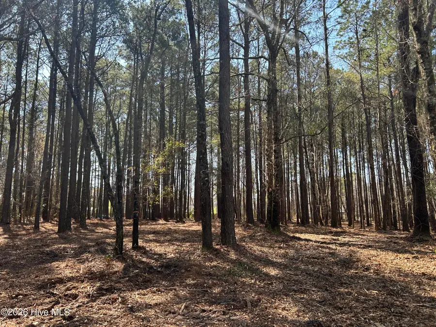0 Victoria Boulevard, Winnabow, NC 28479 - #3